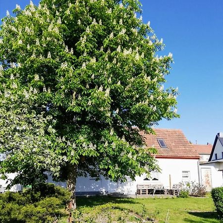 Ferienwohnung Lodig Gross Sarchen 外观 照片